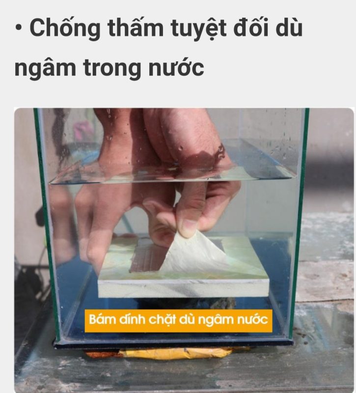 Công Ty TNHH Chống Thấm VVA
